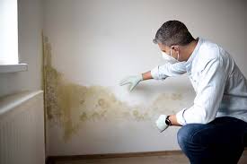 Reliable Littleton Common, MA Mold Remediation Solutions